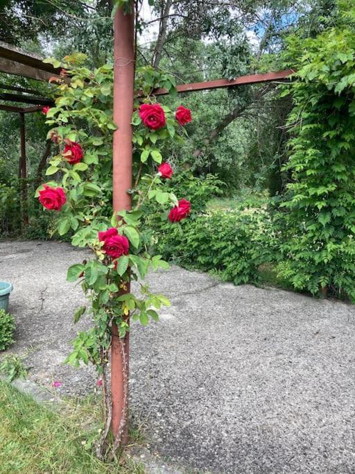 Casa Rural La Fresneda De Tenzuela 세고비아 외부 사진